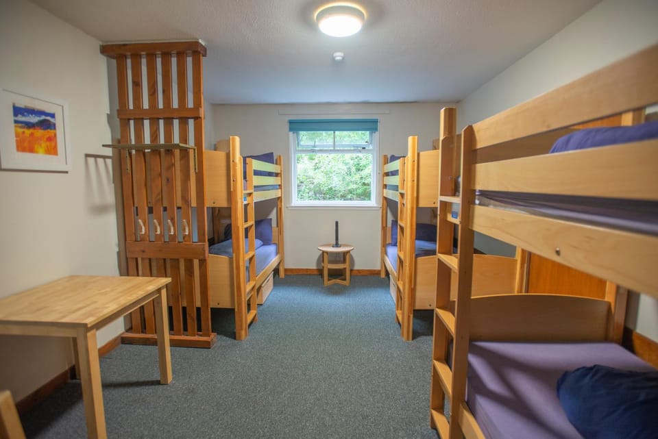 Bed, Bedroom, bunk bed