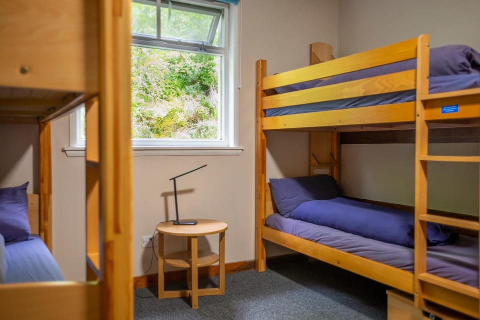 Bedroom, bunk bed