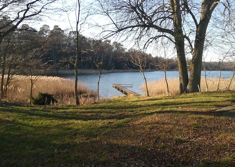 Spring, Lake view