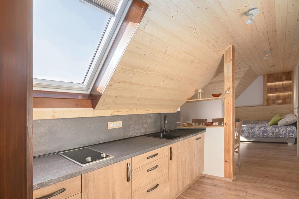 Kitchen or kitchenette, Communal kitchen