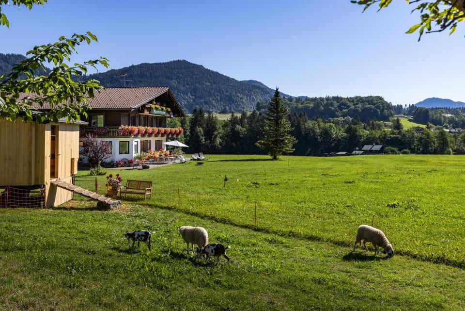 Wassererlehen Farm Stay in Berchtesgadener Land