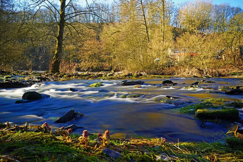 Natural landscape, River view