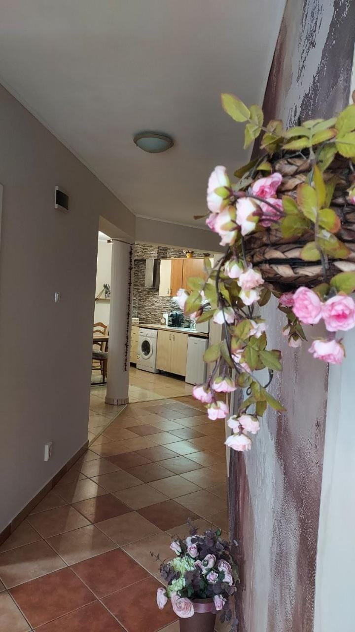 Kara Apartman Apartment in Romania