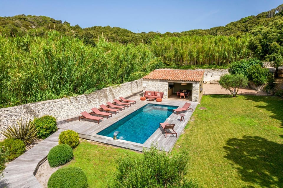 Patio, Natural landscape, Garden, Garden view, Pool view, Swimming pool, sunbed