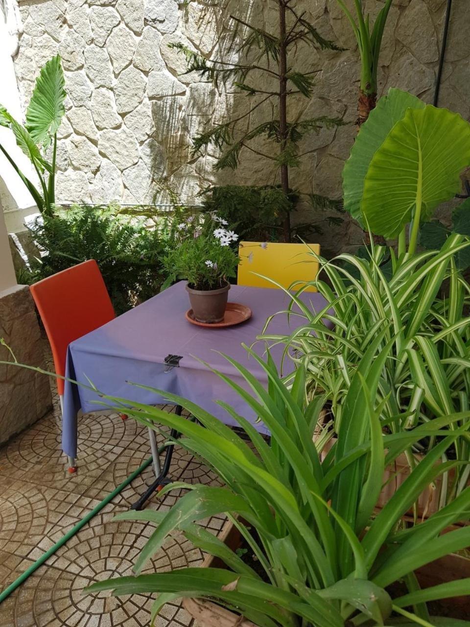 Property building, Garden