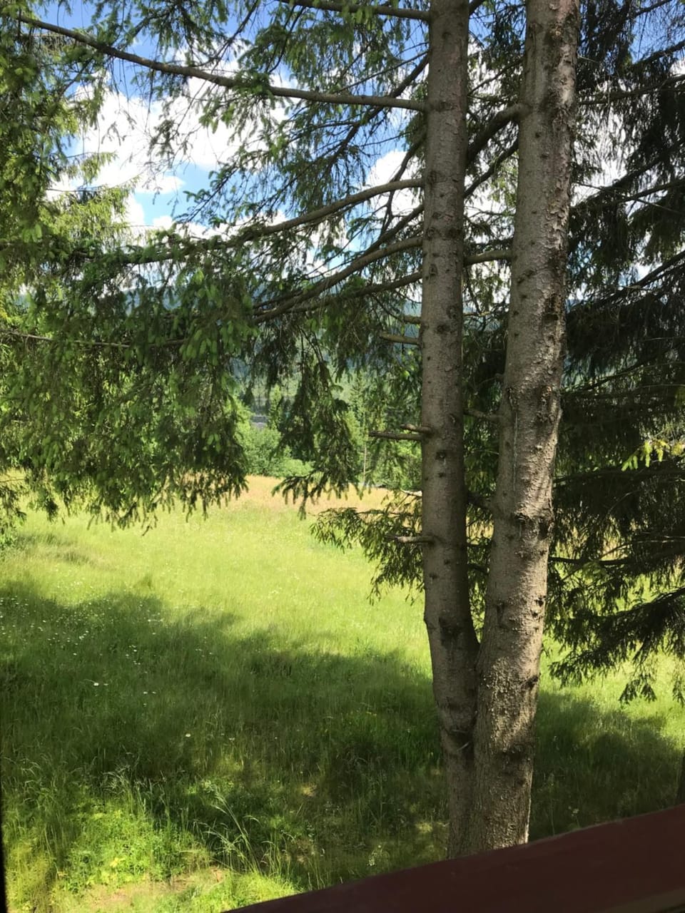Spring, Day, View (from property/room)