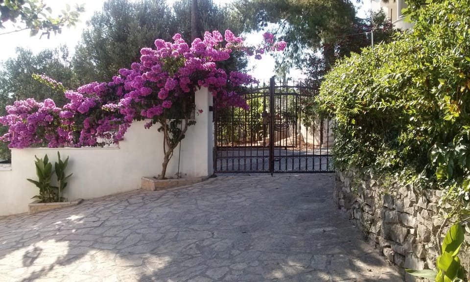 Garden, Garden view