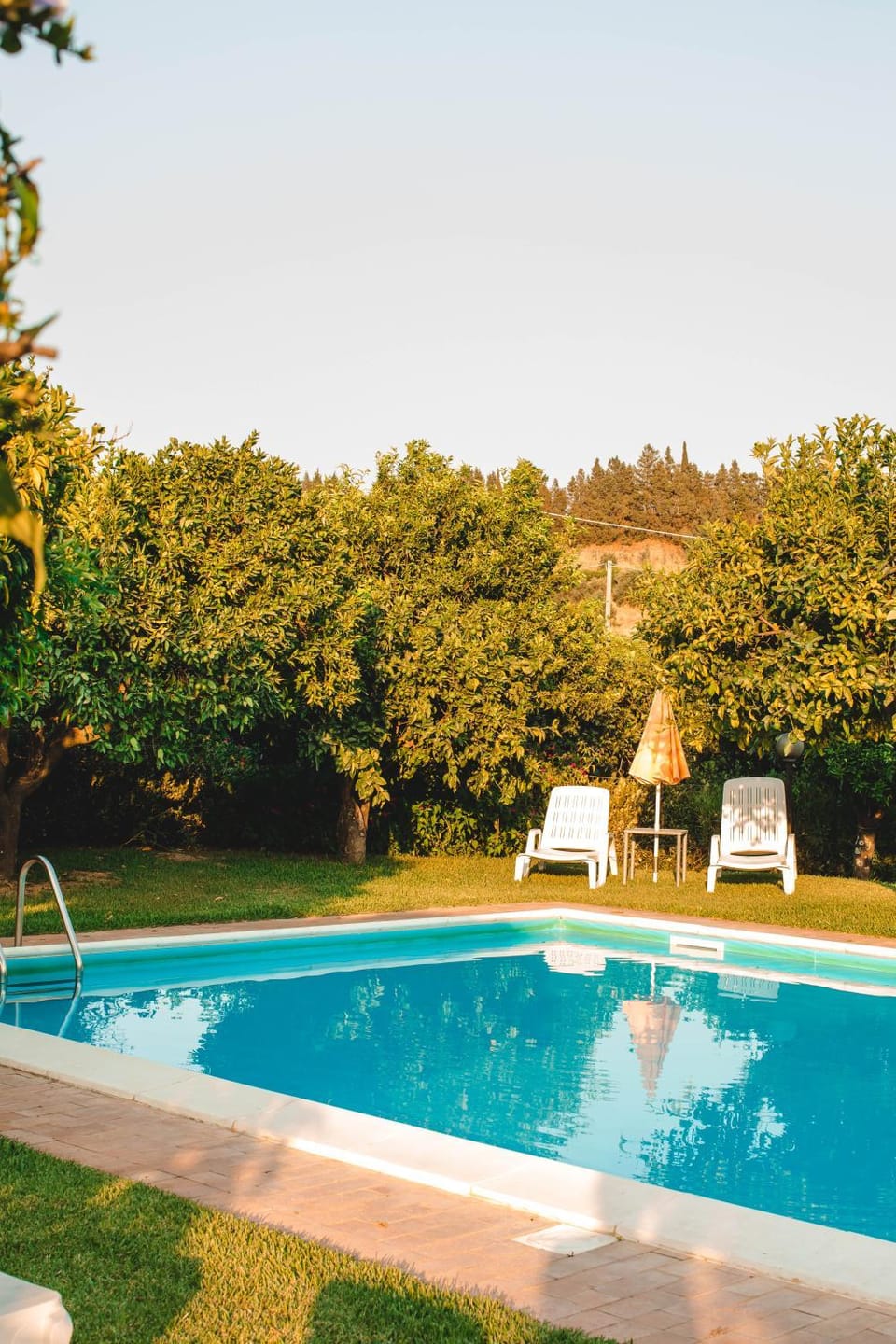 Spring, Day, Natural landscape, Garden, Garden view, Pool view, Swimming pool, sunbed