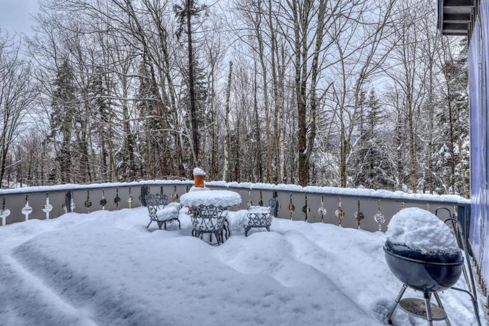 Mount Snow Chalet House in Dover