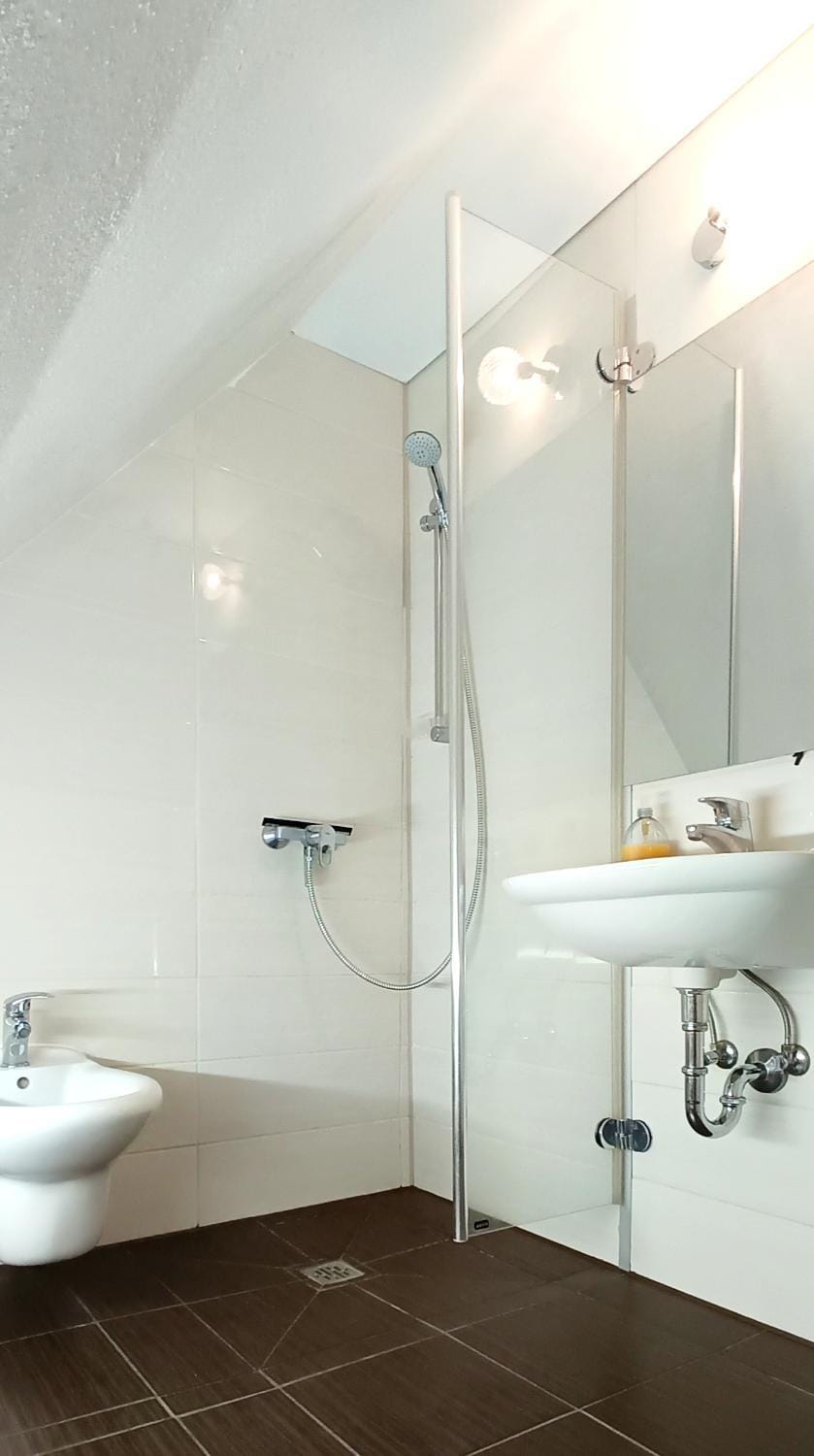 Shower, Bathroom, bidet
