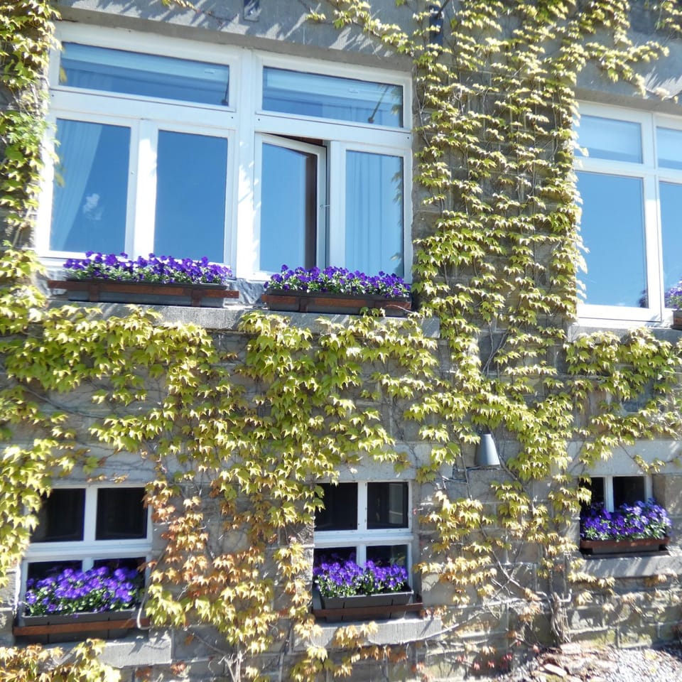 Gite ancienne Imprimerie House in Wallonia, Belgium