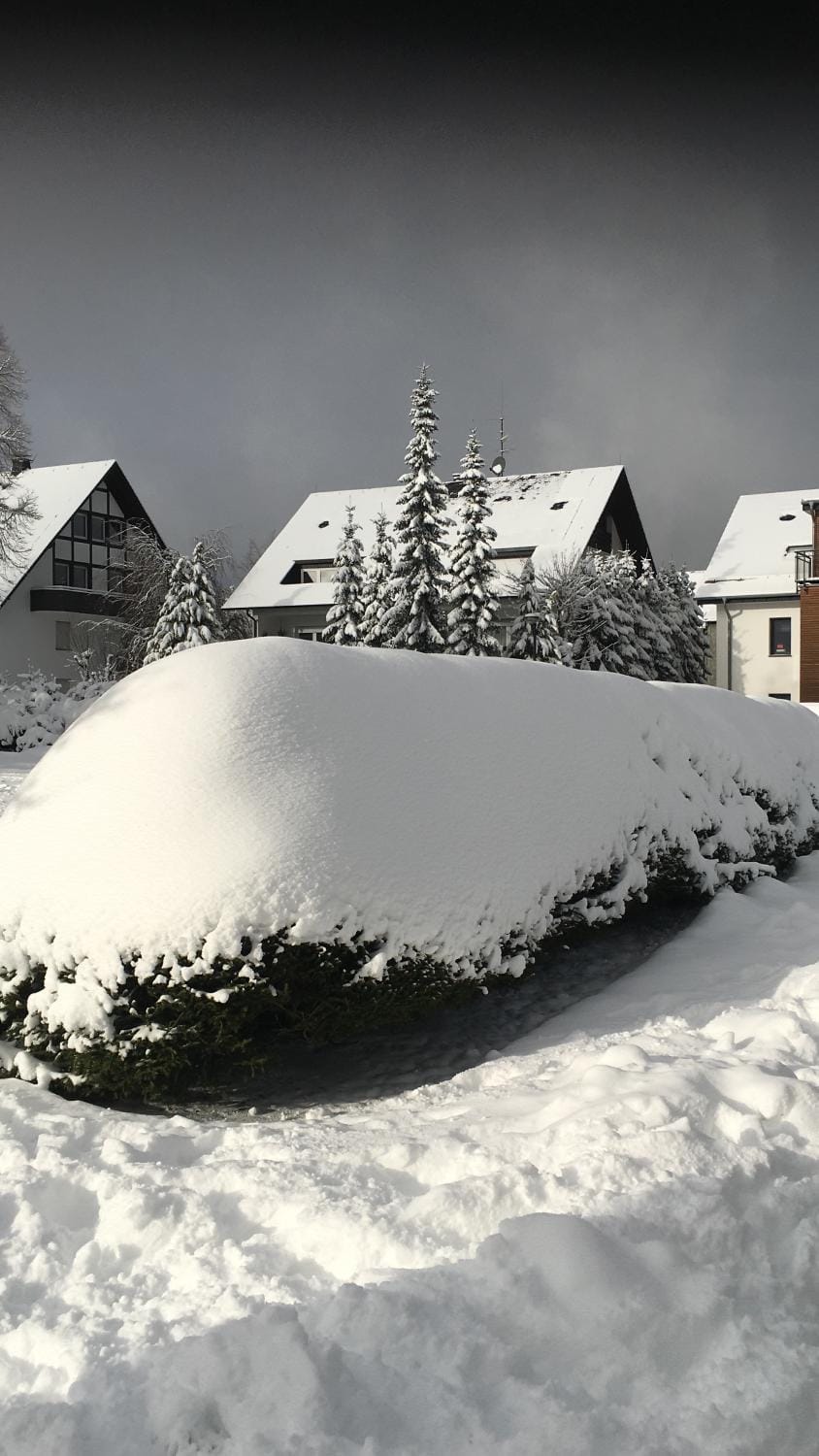 App Winterberg mit Fahrradkeller für bis 3 Personen Apartment in Winterberg