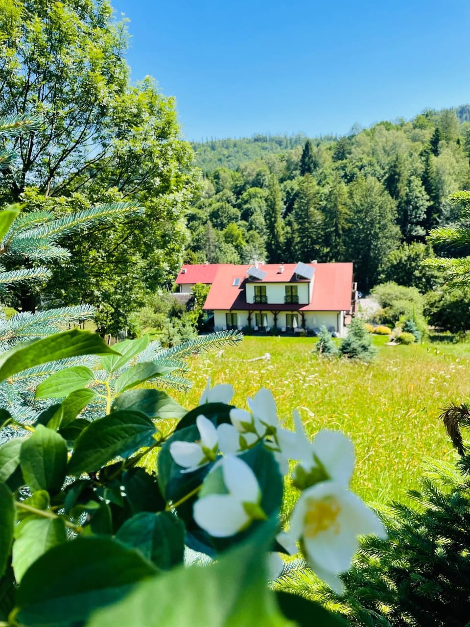 Cudne Manowce Bed and Breakfast in Czechia