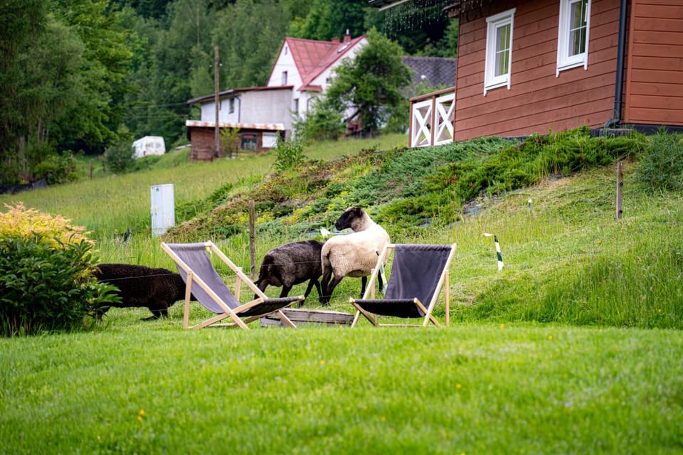 Cudne Manowce Bed and Breakfast in Czechia