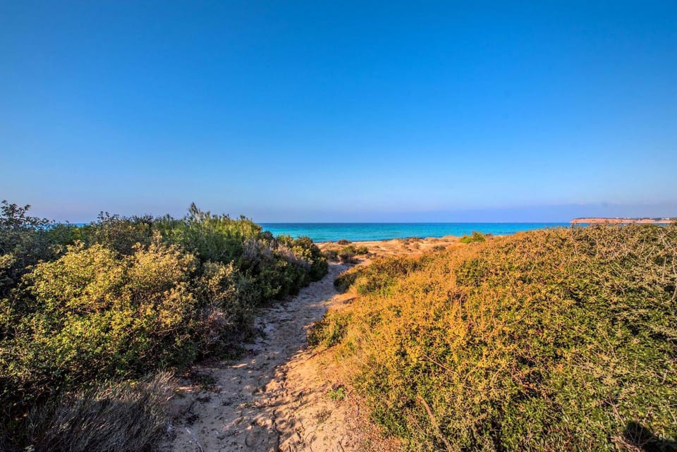 Natural landscape, Beach