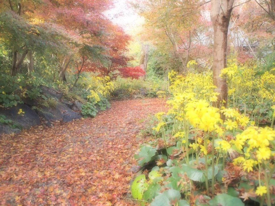 Guest house Third Place Bed and Breakfast in Japan