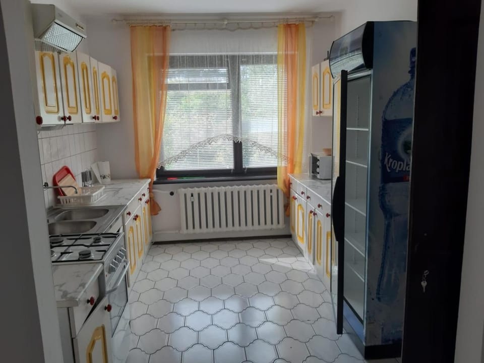 Forest Villa Apartment in Lviv Oblast