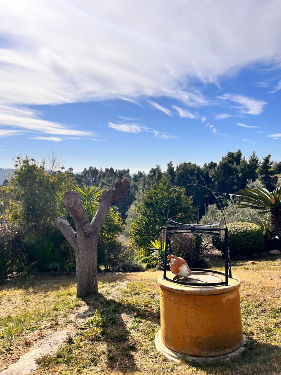 Natural landscape, Garden, Garden view