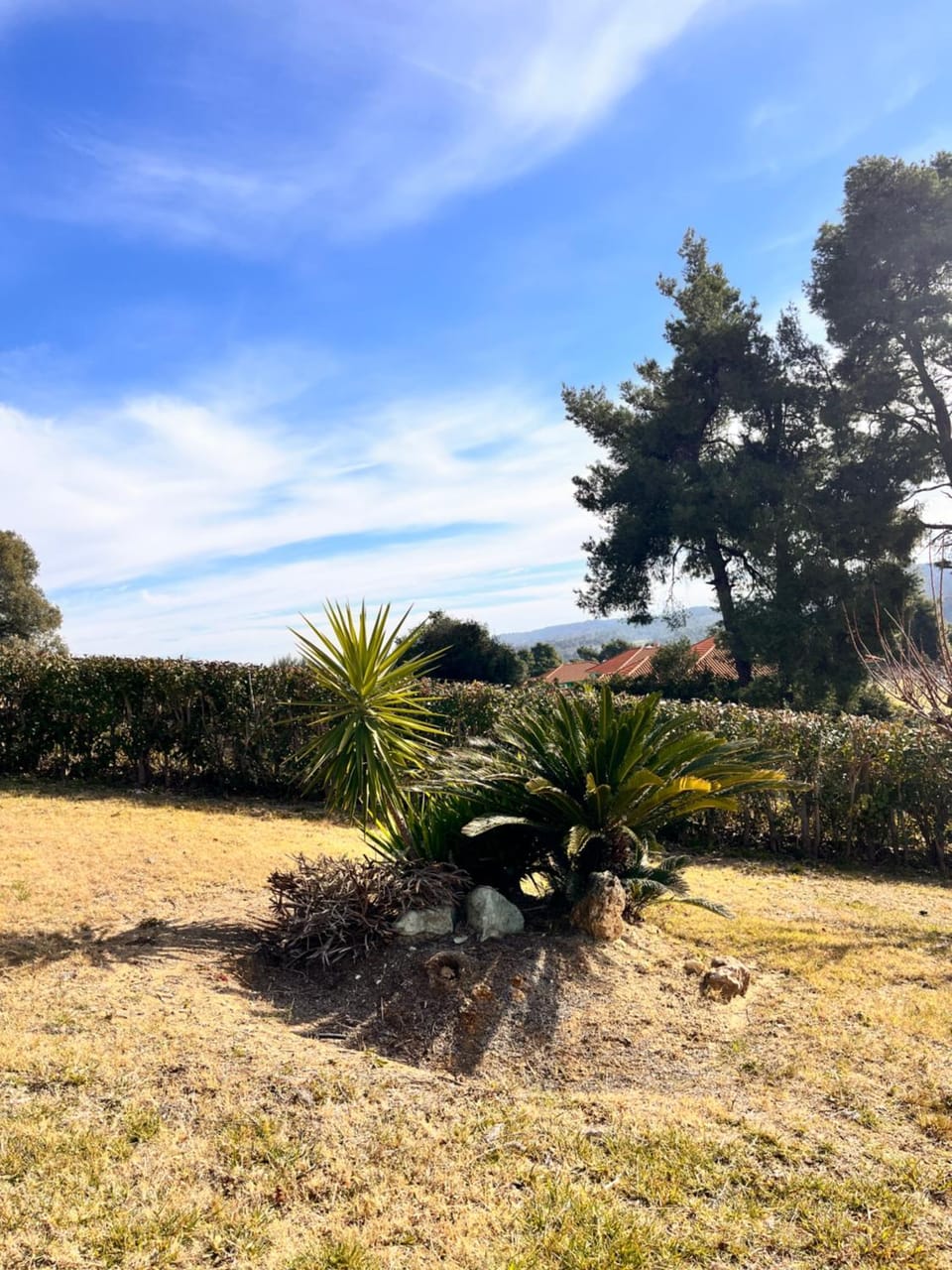 Natural landscape, Garden, Garden view, Inner courtyard view