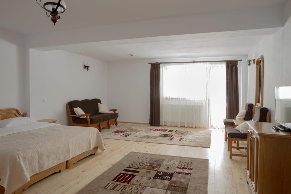 PENSIUNEA ARINAS Bed and Breakfast in Romania