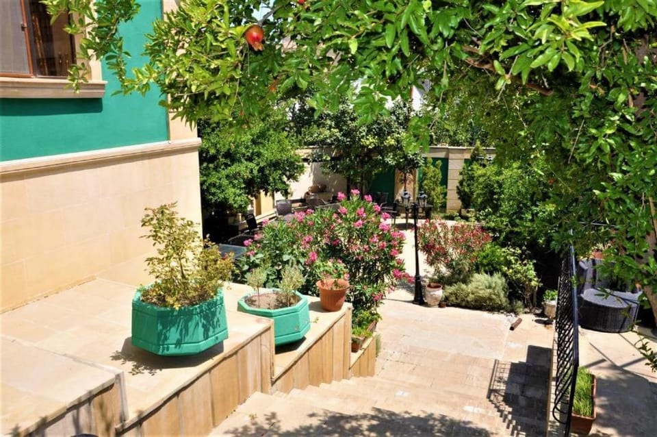 Patio, Garden
