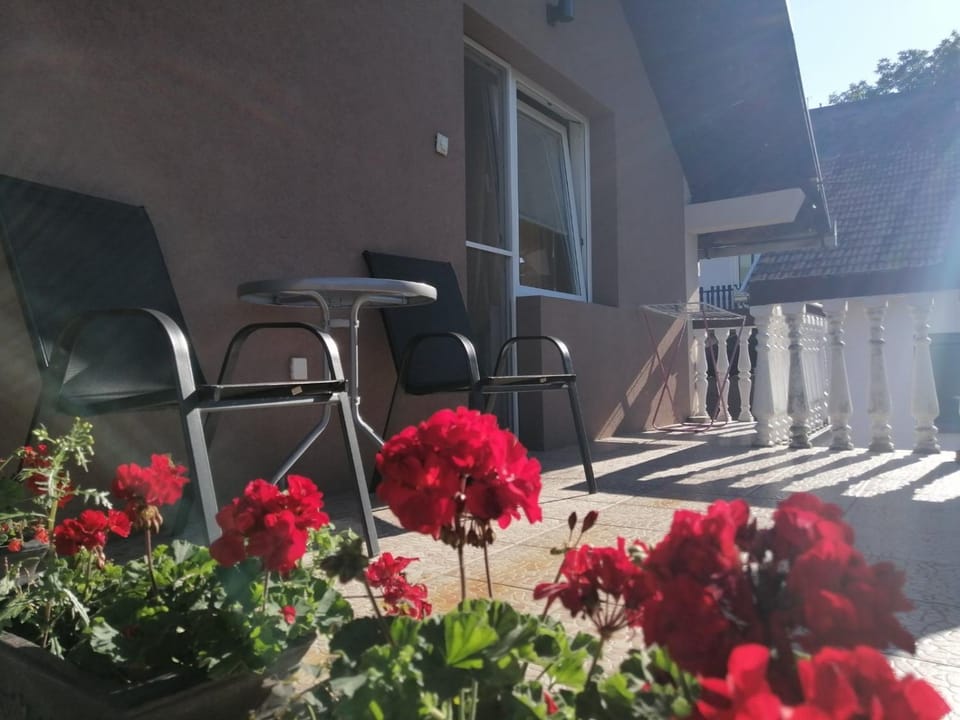 Apartmani Popovic Apartment in Vojvodina