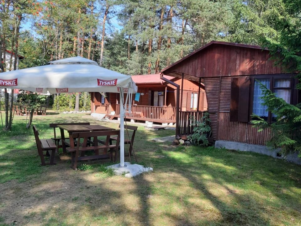 Forest Villa- domki Chalet in Lviv Oblast