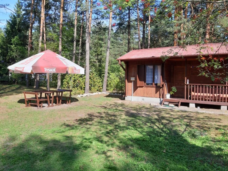 Forest Villa- domki Chalet in Lviv Oblast