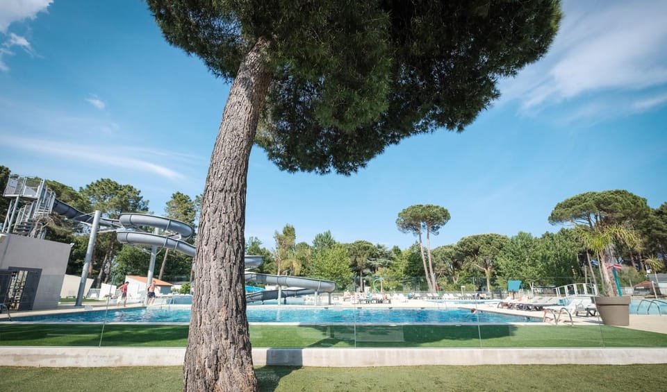 Patio, Day, Summer, Garden, Aqua park, On site, Pool view, Swimming pool