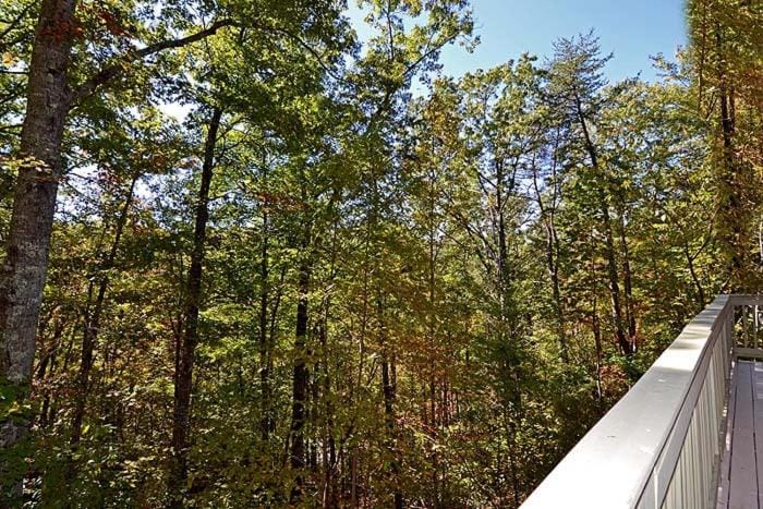 Smoky Mountain Dream Chalet in Gatlinburg