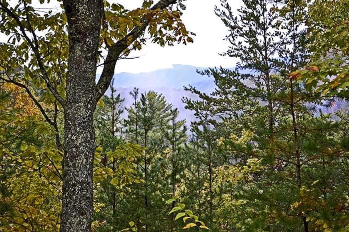 Mountain Magic Chalet in Gatlinburg
