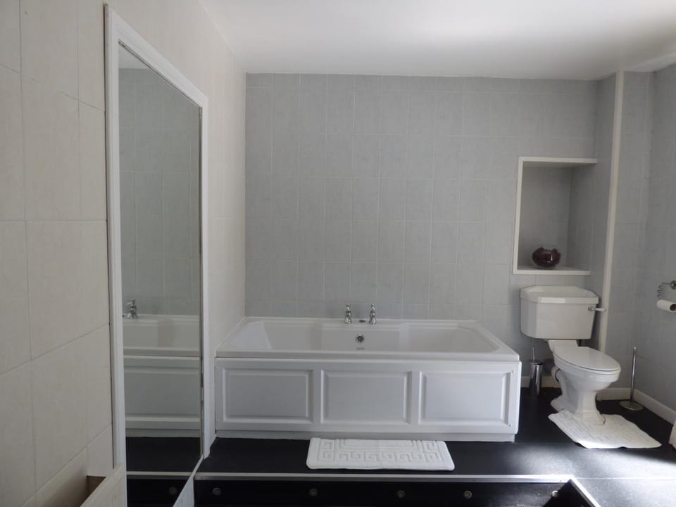 Toilet, Bathroom, Bath