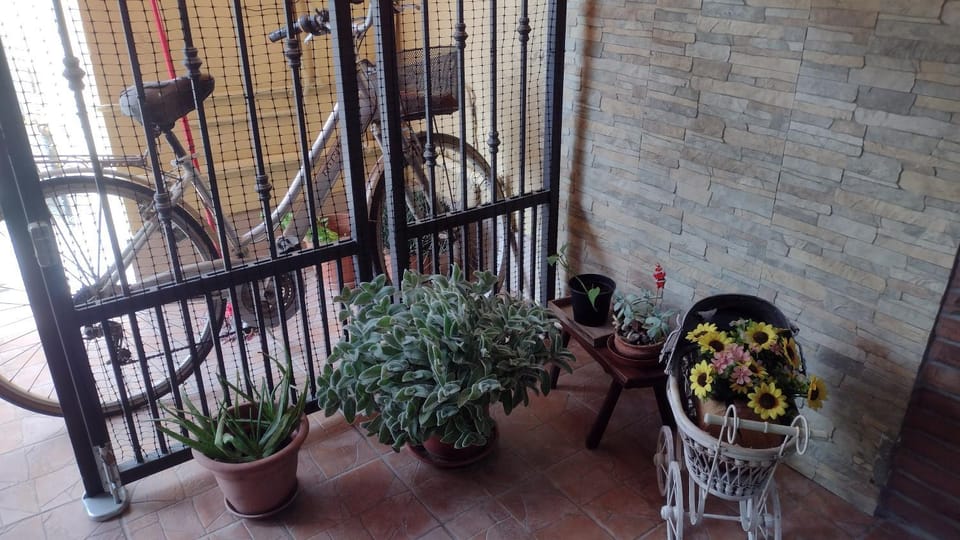 LA PETITE MAISON Apartment in Emilia-Romagna