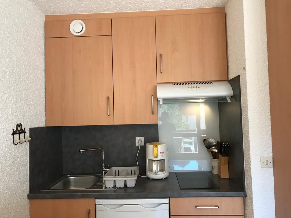 Studio cabine 25m² au pied des pistes à Corrençon - Balcon sud - FR-1-515-70 Cabin in Provence-Alpes-Côte d'Azur