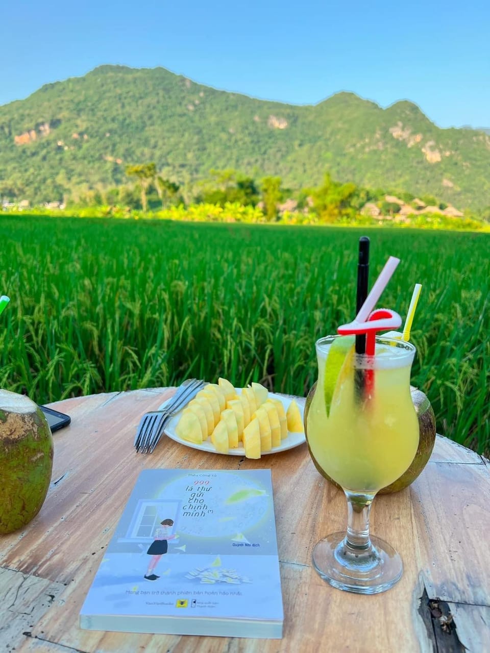 Green Homestay Mai Chau Bed and Breakfast in Laos