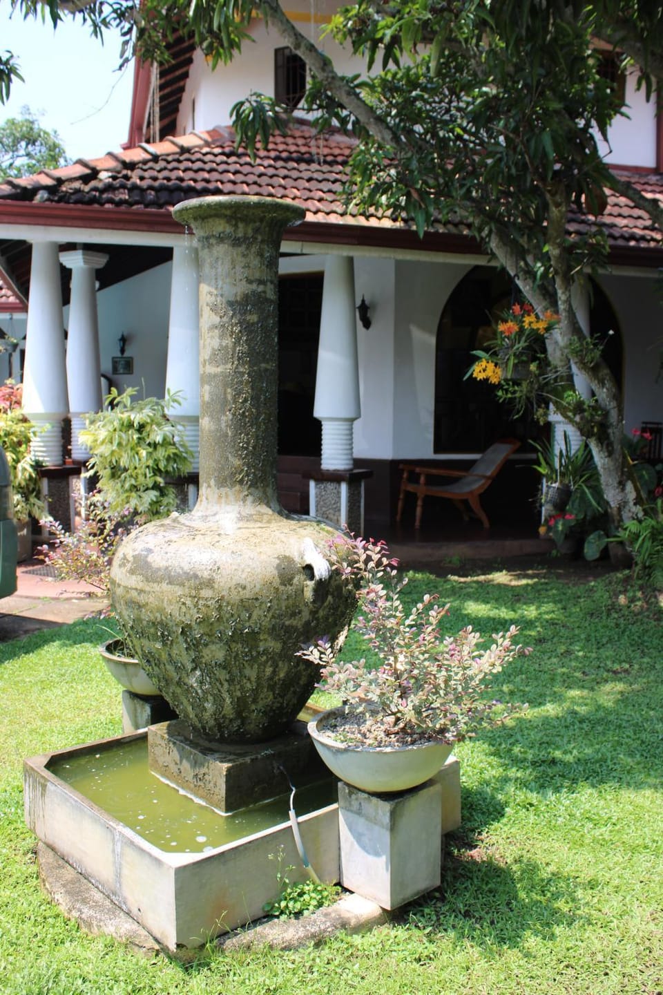 Garden view