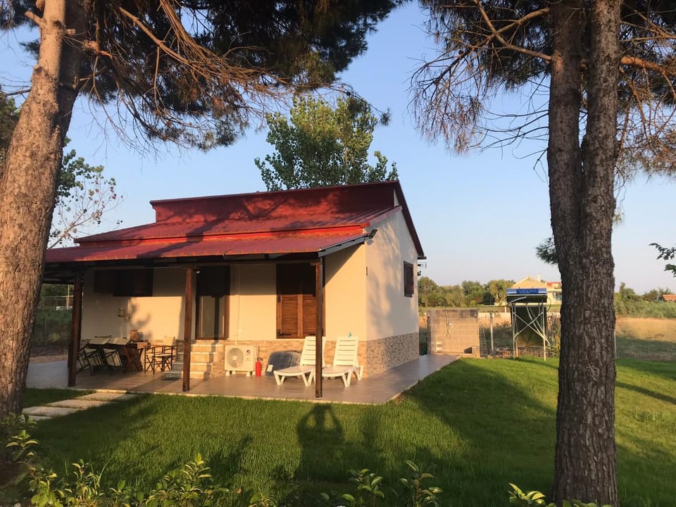 Property building, Patio, Garden