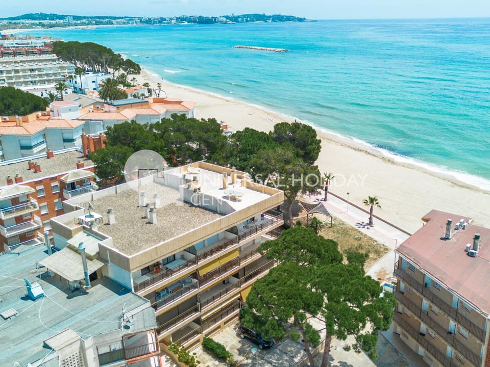 Off site, Bird's eye view, Beach