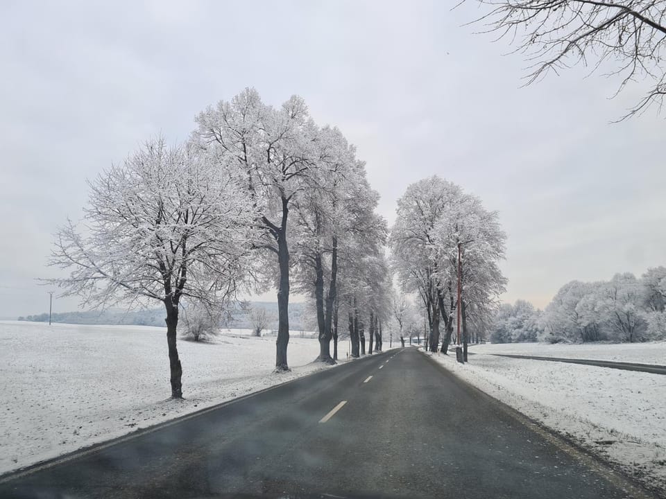 Activities, Skiing, Hiking, Cycling