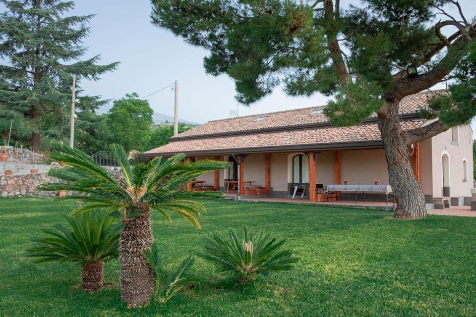 Property building, Garden, Garden view