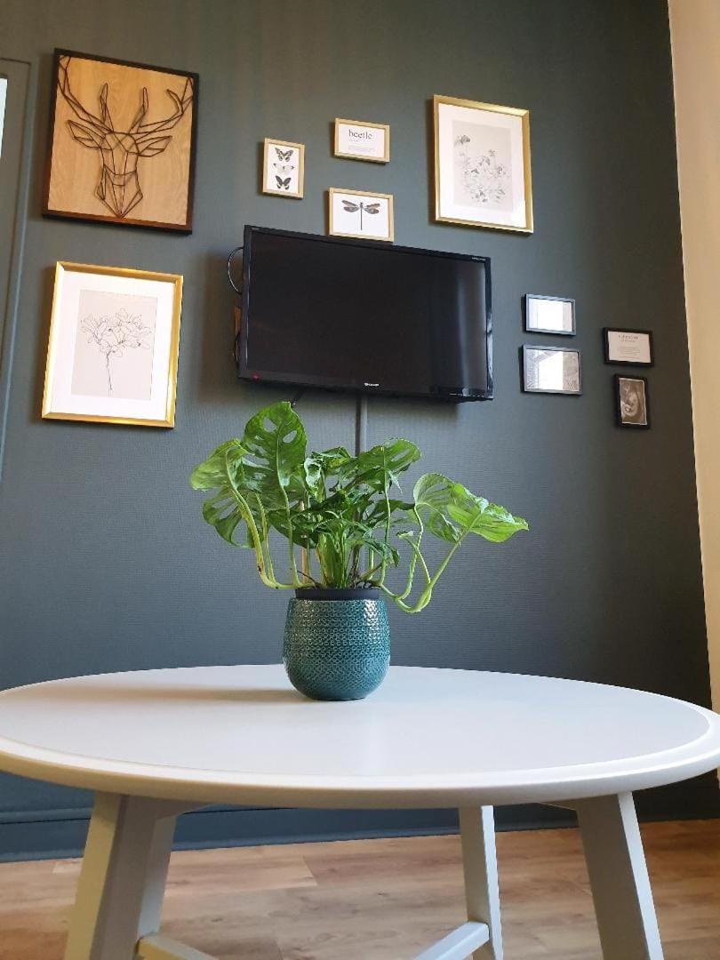 Superbe T2 de 45m² en hyper centre Apartment in La Rochelle