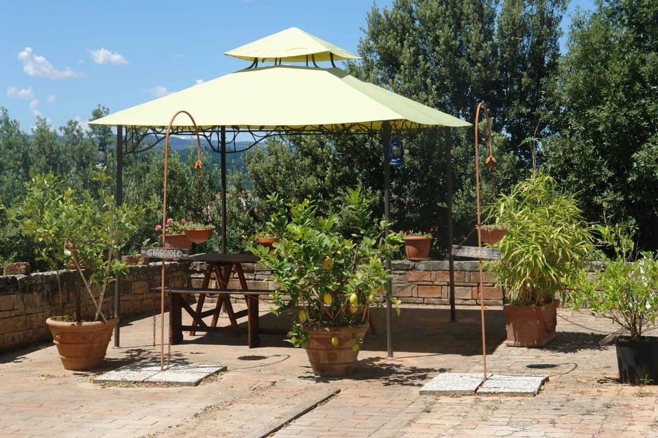 Patio, Dining area