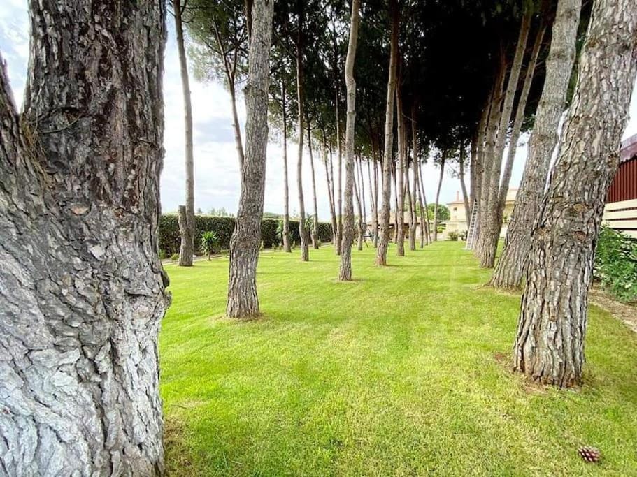 Natural landscape, Garden, Garden view