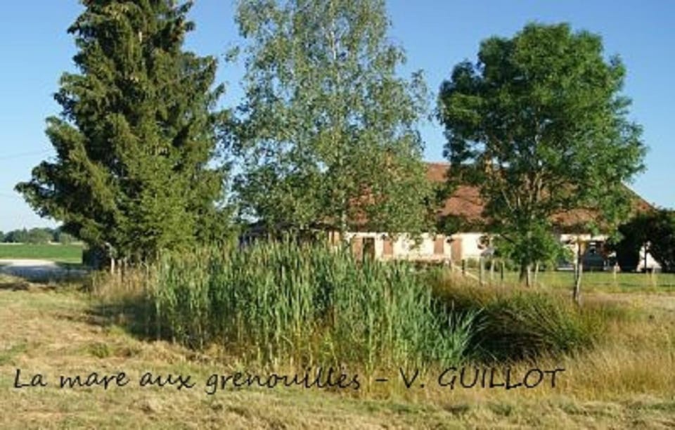 Natural landscape, Garden