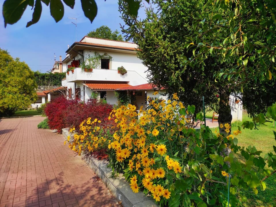 Property building, Garden