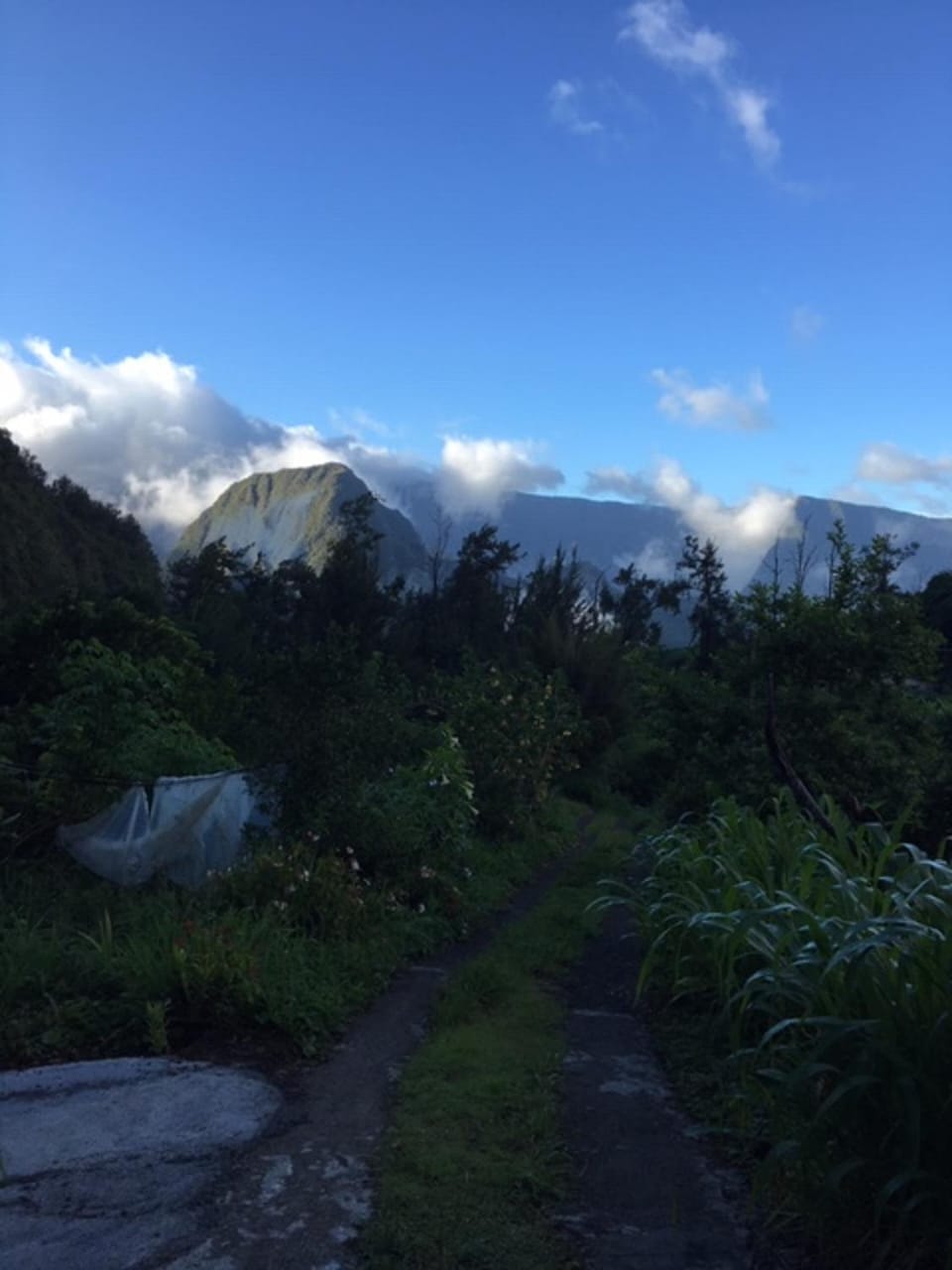 Mountain view