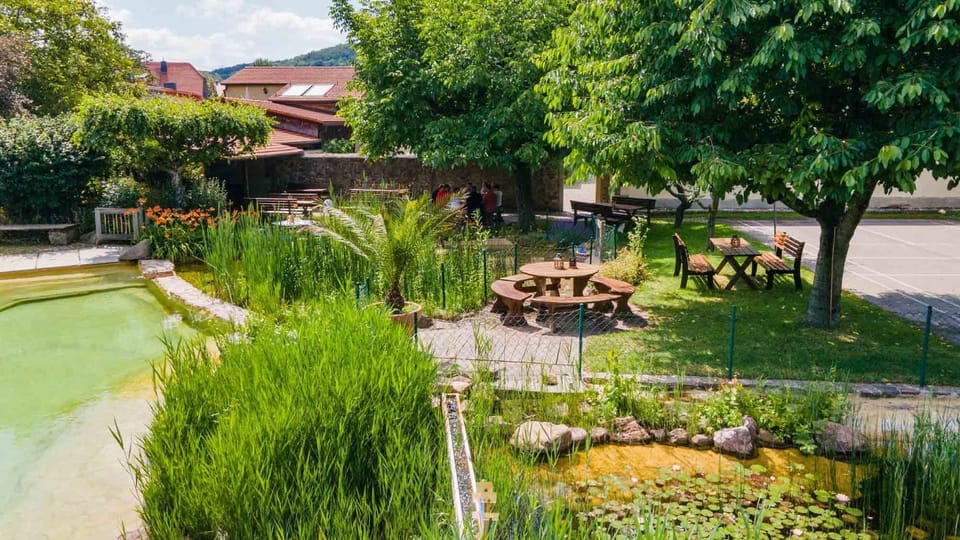 Restaurant/places to eat, Garden, Garden view, Swimming pool