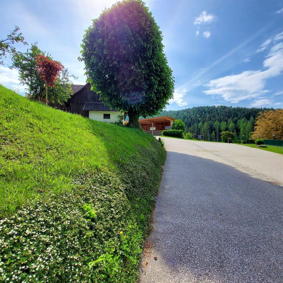 Patio, Spring, Day, Natural landscape, Summer, Garden, On site