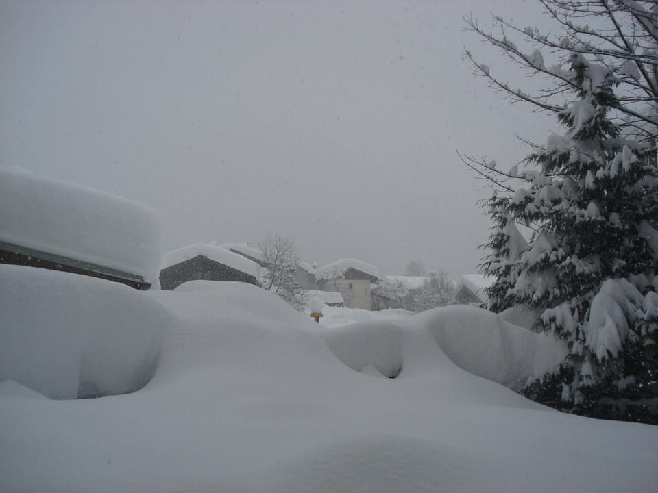 Winter, Garden view