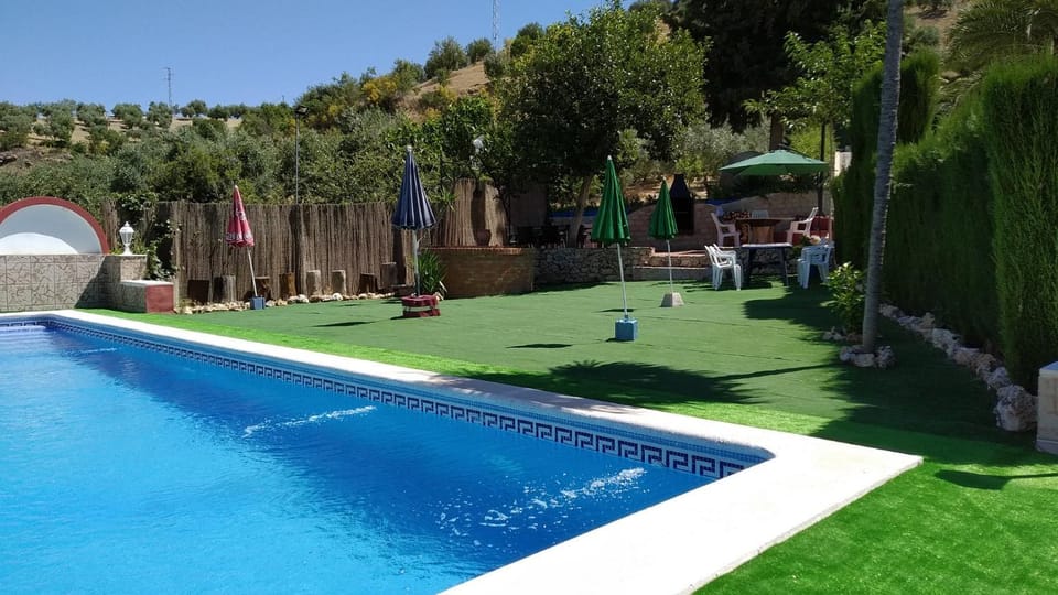 Garden, Swimming pool